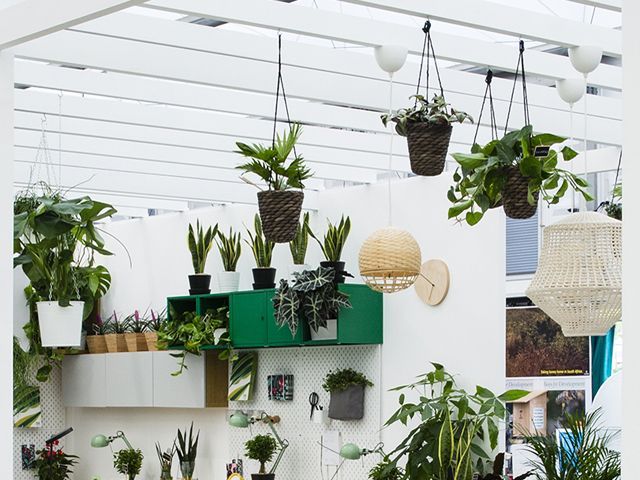 悬挂在宜家室内花园植物设计# plantswork安装在切尔西花展2018