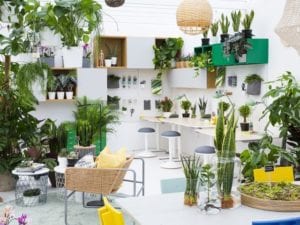 2018年切尔西花展上的宜家和室内花园设计#plantswork installation