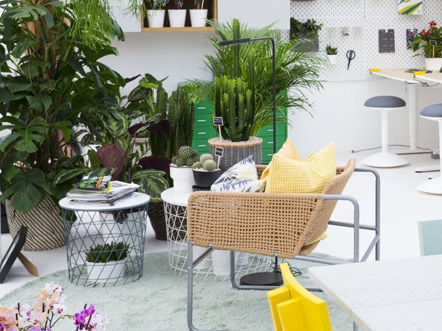 宜家与室内安装# plantswork室内花园设计2018年在切尔西花展