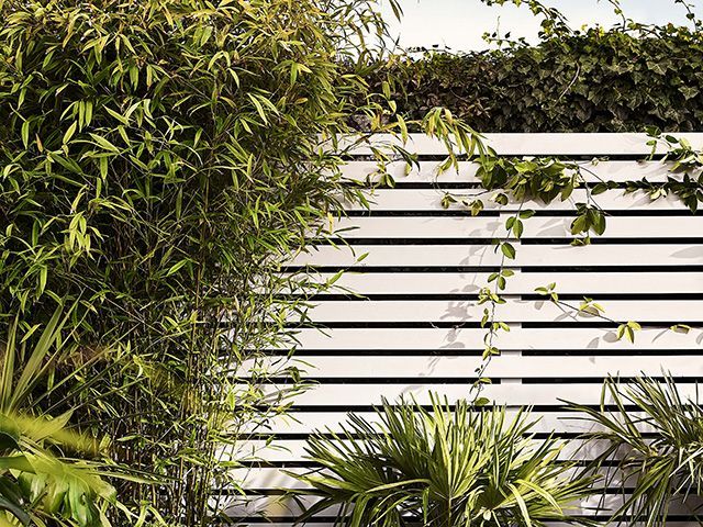 花园栅栏用从cuprinol - goodhomesmagazine.com上过度生长的植物涂成浅色
