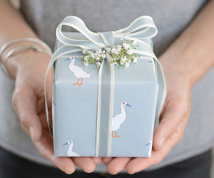 小git和鸭子打印包装纸-秘密圣诞礼物的想法- goodhomesmagazine.com