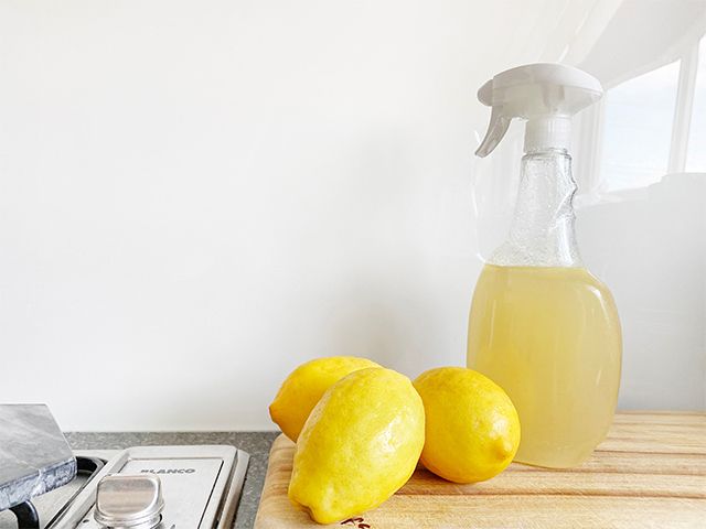 天然柠檬清洁产品 - 如何在过敏季节期间保持室内空气清新 - 灵感 - 博爱博士Magazine.com