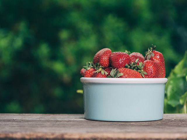 草莓生长在一个花园——goodhomesmagazine.com