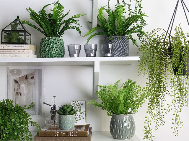 架子上的植物- 5种方法为你的室内装饰增添惊喜因素-灵感- goodhomesmagazine.com