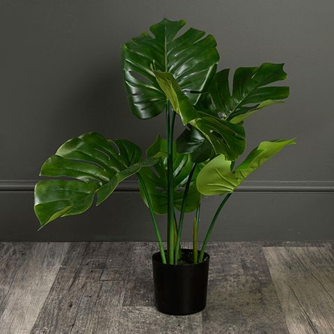faux monstera plant - 5 of the best artificial plants - shopping - goodhomesmagazine.com