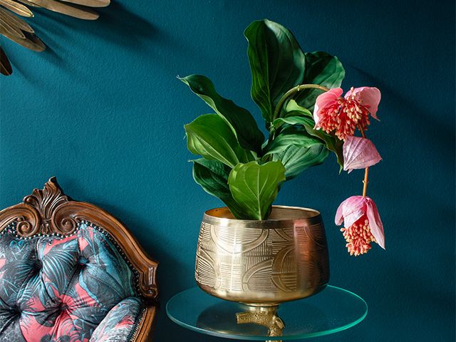 faux plant with pink flower - 5 of the best artificial houseplants - shopping - goodhomesmagazine.com