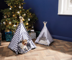 圣诞宠物帐篷