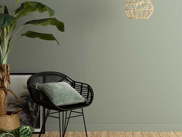 黑色藤椅，棕色编织地毯，周围有植物，前面是绿色油漆墙