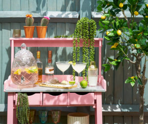 粉色花园酒吧，植物和鸡尾酒，来自Wayfair