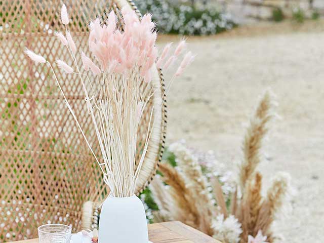 粉红色的潘帕斯草原白色花瓶藤条柳条背景受斯泰西所罗门的粉红色的托儿所